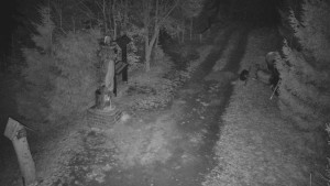 Skiareál Bílá - Bílá - běžecká trať - 16.3.2026 v 00:30 Skiareál Bílá - Bílá - běžecká trať - 16.3.2026 v 00:30