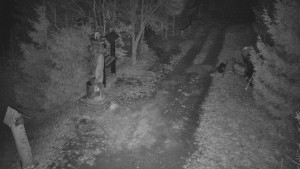 Skiareál Bílá - Bílá - běžecká trať - 16.3.2026 v 02:30 Skiareál Bílá - Bílá - běžecká trať - 16.3.2026 v 02:30