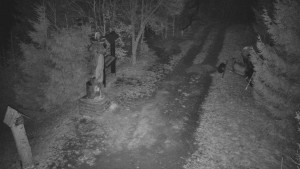 Skiareál Bílá - Bílá - běžecká trať - 16.3.2026 v 04:30 Skiareál Bílá - Bílá - běžecká trať - 16.3.2026 v 04:30