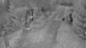 Skiareál Bílá - Bílá - běžecká trať - 16.3.2026 v 05:30 Skiareál Bílá - Bílá - běžecká trať - 16.3.2026 v 05:30