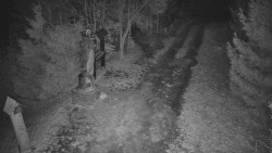 Bílá - běžecká trať