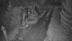 Bílá - běžecká trať