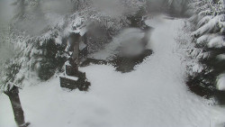 Bílá - běžecká trať