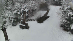 Bílá - běžecká trať