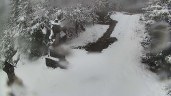 Bílá - běžecká trať