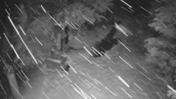 Bílá - běžecká trať