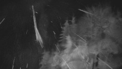 Bílá - běžecká trať