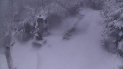 Bílá - běžecká trať