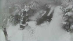 Bílá - běžecká trať