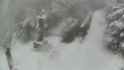 Bílá - běžecká trať