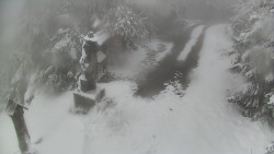 Bílá - běžecká trať