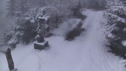 Bílá - běžecká trať