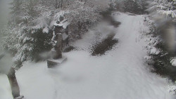 Bílá - běžecká trať