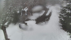 Bílá - běžecká trať