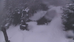 Bílá - běžecká trať