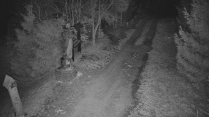 Skiareál Bílá - Bílá - běžecká trať - 8.4.2026 v 02:30