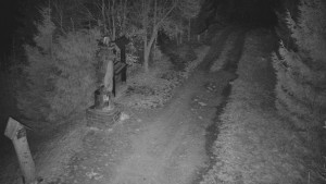 Skiareál Bílá - Bílá - běžecká trať - 8.4.2026 v 03:30