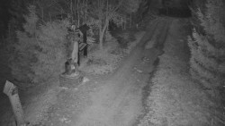 Bílá - běžecká trať