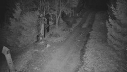 Bílá - běžecká trať