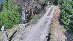 Bílá - běžecká trať