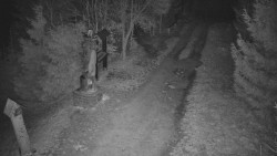 Bílá - běžecká trať