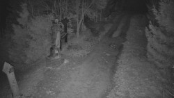 Bílá - běžecká trať