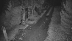 Bílá - běžecká trať