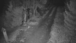 Bílá - běžecká trať