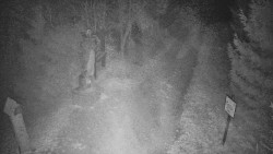 Bílá - běžecká trať