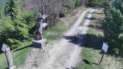 Bílá - běžecká trať