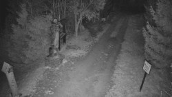 Bílá - běžecká trať