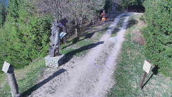 Bílá - běžecká trať