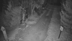 Bílá - běžecká trať