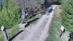 Bílá - běžecká trať