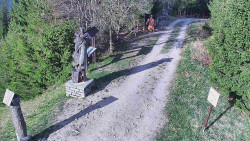 Bílá - běžecká trať