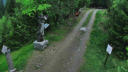 Bílá - běžecká trať