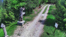 Bílá - běžecká trať
