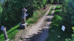 Bílá - běžecká trať