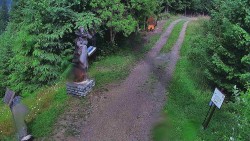 Bílá - běžecká trať
