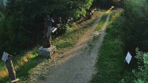 Skiareál Bílá - Bílá - běžecká trať - 31.7.2026 v 06:30 Skiareál Bílá - Bílá - běžecká trať - 31.7.2026 v 06:30