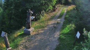 Skiareál Bílá - Bílá - běžecká trať - 31.7.2026 v 07:30 Skiareál Bílá - Bílá - běžecká trať - 31.7.2026 v 07:30