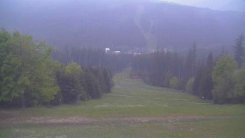 Snímek    11.5.2025 v 05:10