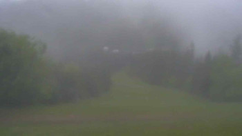 Snímek    15.5.2025 v 08:30