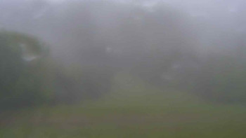 Snímek    15.5.2025 v 09:55