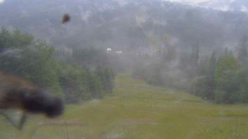 Snímek    4.7.2025 v 09:05