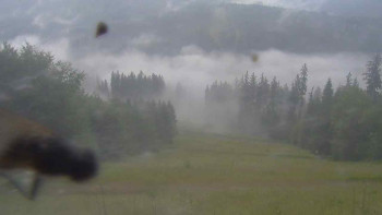 Snímek    7.7.2025 v 06:45