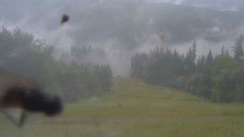 Snímek    7.7.2025 v 07:15