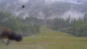 Snímek    7.7.2025 v 07:45