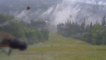 Snímek    7.7.2025 v 07:50