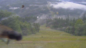 Snímek    12.7.2025 v 06:50